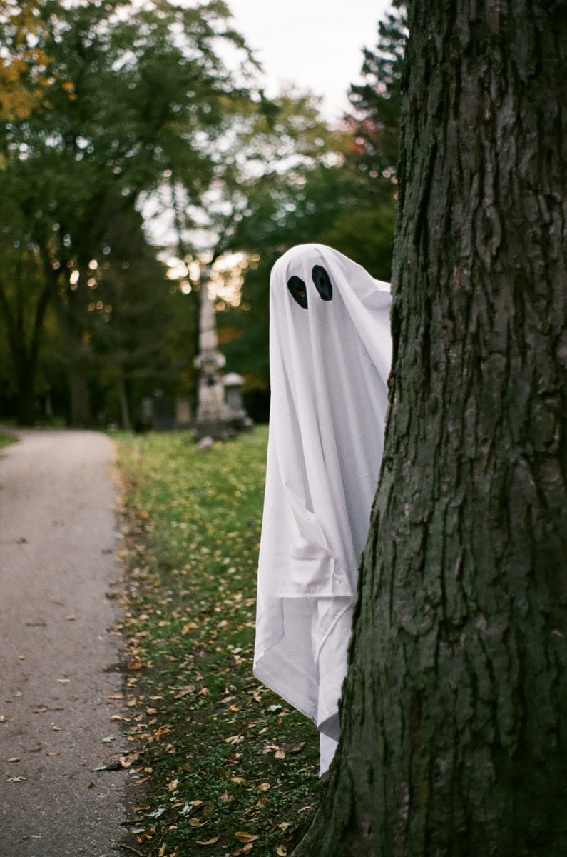 TaylorPreston3's tweet photo. Important content from Halloween https://t.co/y5MT2KgldT