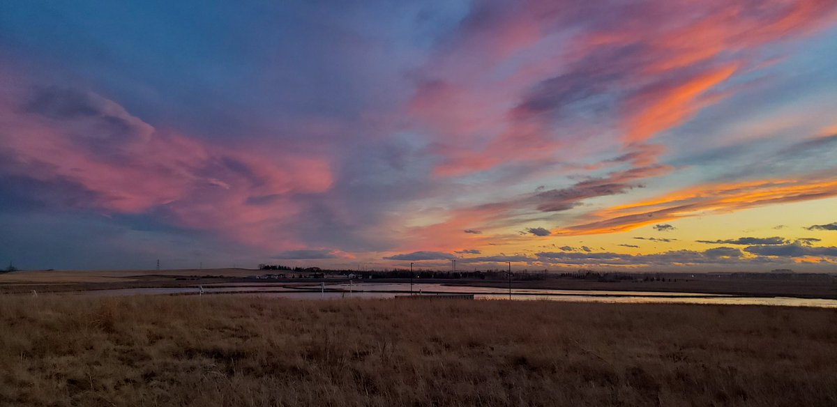 suezqyyc's tweet photo. A beautiful yet chilly evening from Ralph Klein Park, SE, Calgary tonight. Some deep Anticrepuscular clouds? Eastward & the hues of the sunset both South & North of the park.
#Anticrepuscular #ralphkleinpark #yyc #calgaryweather #calgarysunset @CTVdavidspence @CTVStanfield https://t.co/ASSjw3ysM5