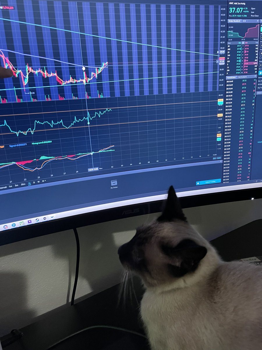 Tremaynecollins001 tweet media