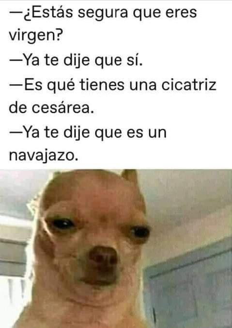 No sé si creerle 😏😏😏😏🧐🧐