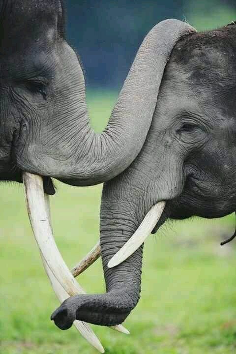 SeemaNature's tweet image. समस्याएं उतनी ताकतवर नहीं होती,
जितना हम उन्हें मान लेते हैं ,,
कभी सुना है कि अँधेरे ने
सुबह नहीं होने दी ..... ☀
👁👁
🍀🌹🍀🌻🙏 शुभ प्रभात 🙏🌻🍀🌹🍀