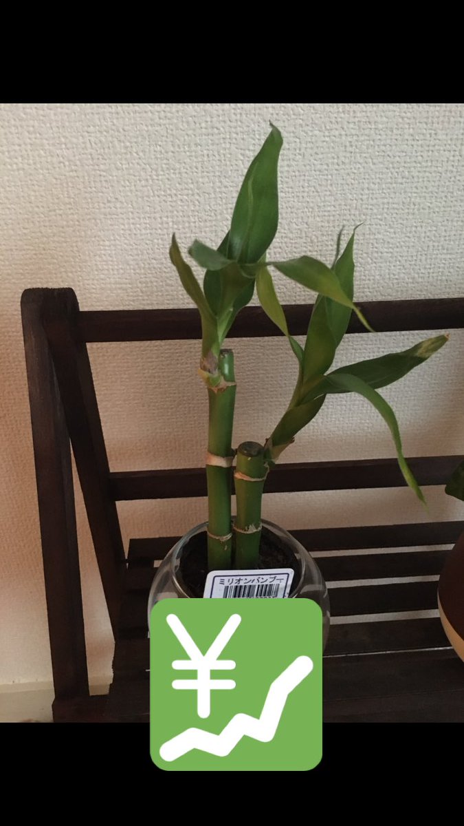 7czjbffx4ht6wcq Twitter 7czjbffx4ht6wcq Twitter