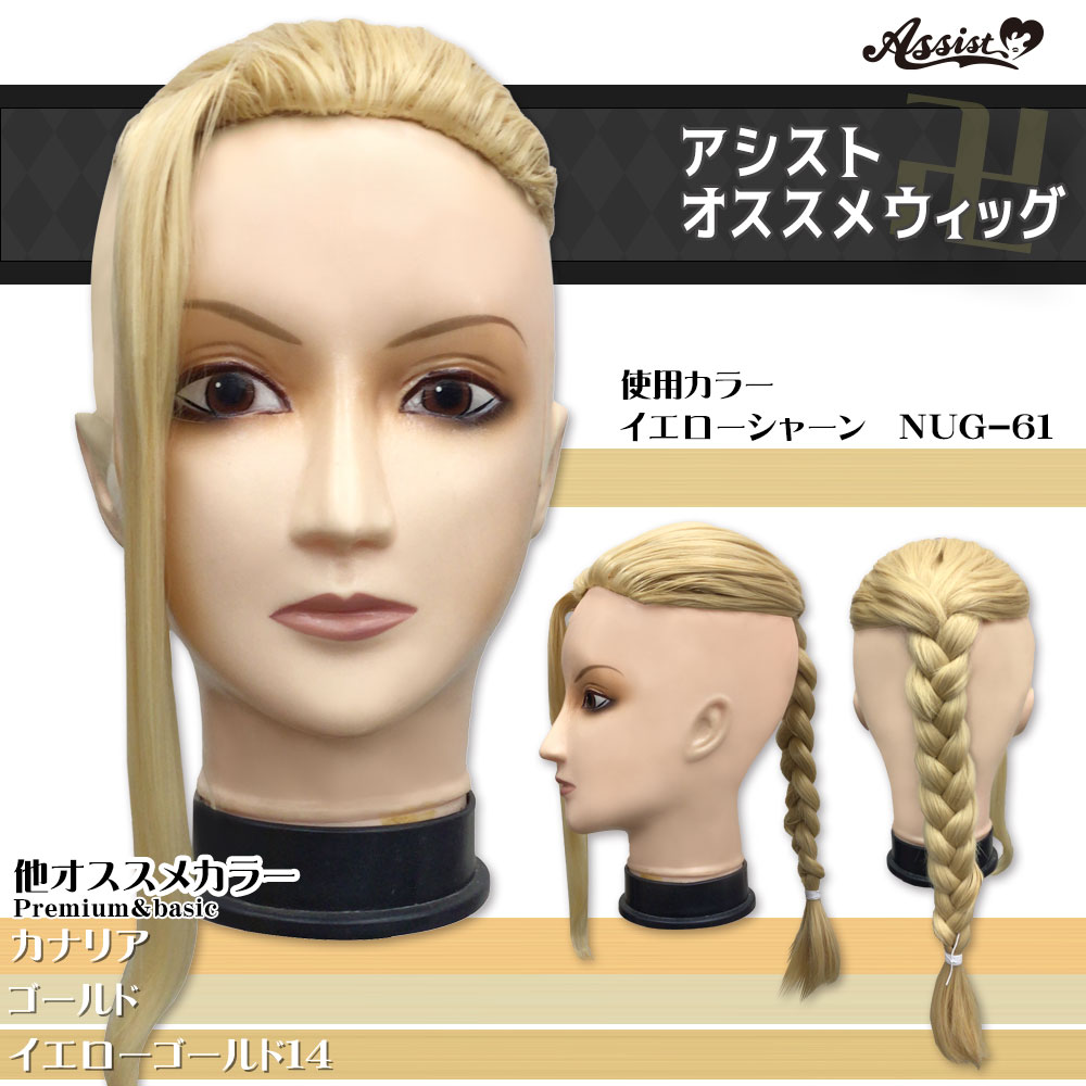 全商品オープニング価格! アシスト ウィッグ カジュアルショート
