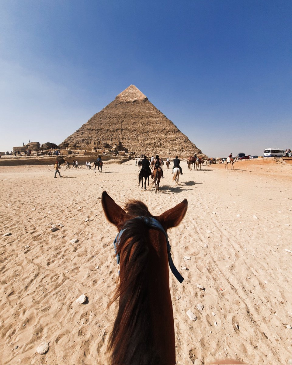 xZekiye's tweet photo. while it's getting colder in my hometown here enjoying the beauty of Egypt (and over 30 degrees) https://t.co/1CbLhI7JpH