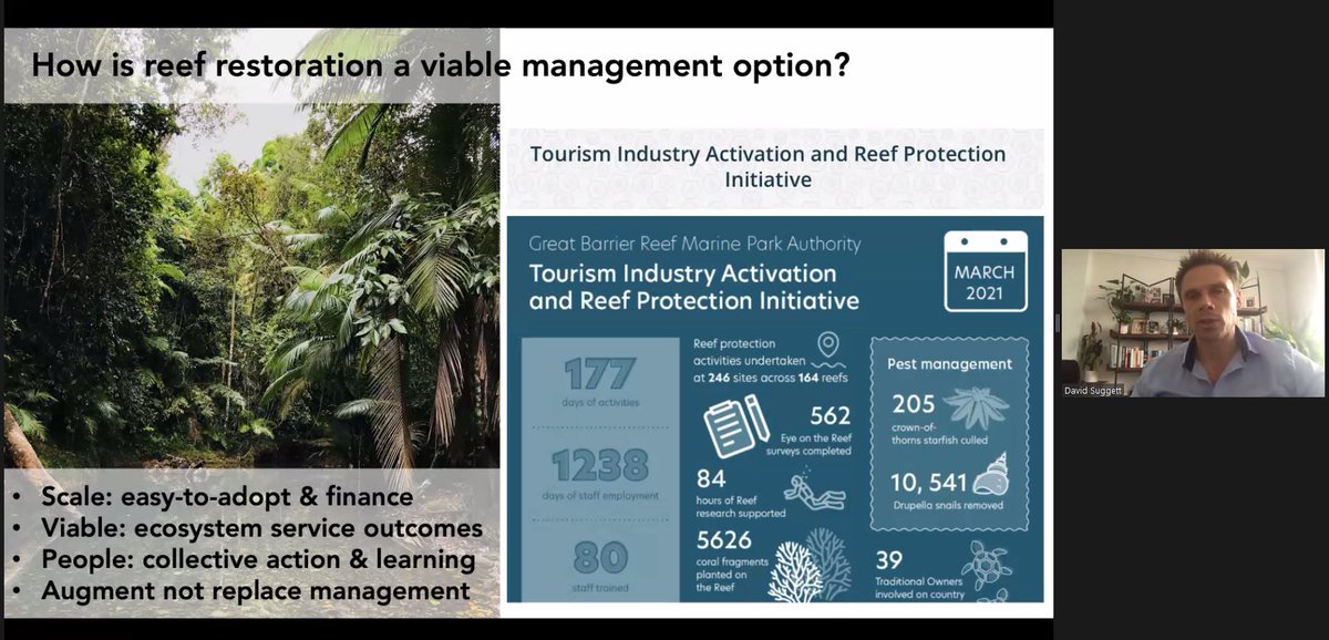 UTS_Science's tweet image. How reef restoration can be a viable management option - Prof @DavidJSuggett on #ScienceInFocus #ReefRestoration #Naturesolutions #CoralNurture #science @UTS_Engage