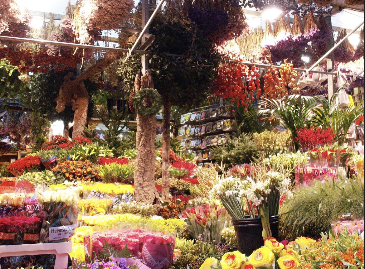 SNdabukiye's tweet photo. Le marché aux fleurs d’Amsterdam ✨ https://t.co/iBhRp8LRVU