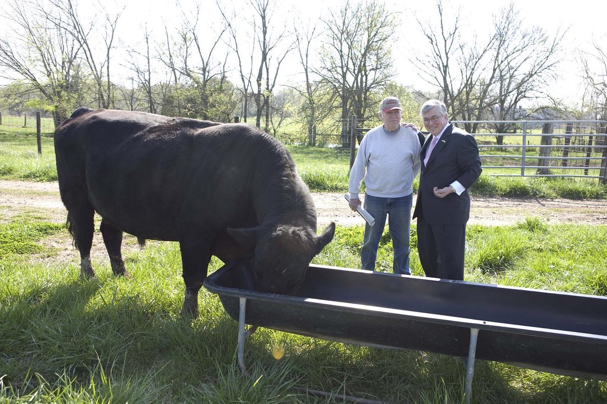 When I was a college president in Tennessee, a generous supporter gave the college a bull, with the condition that I pet its head. That kind of thing hasn’t happened to me much in New York. #mercycollege #mercymavericks