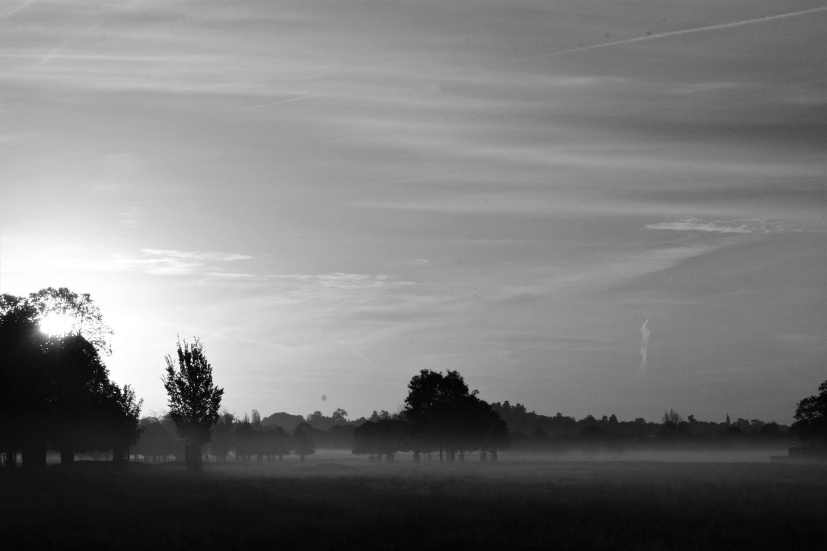 Thomas_Wheelock's tweet photo. First rays of light just before the sun comes out
@TeddingtonNub @Teddington_Town @stormhour
@Visit_Richmond1 @TheroyalParks @BBCEarth
@natures_voice @SurreyLife @UKParliament
@HRP_palaces #BacklightWorld #Kingston #photography #EastMolesey #BushyPark #blackandwhitephotography https://t.co/z26dac7J9K