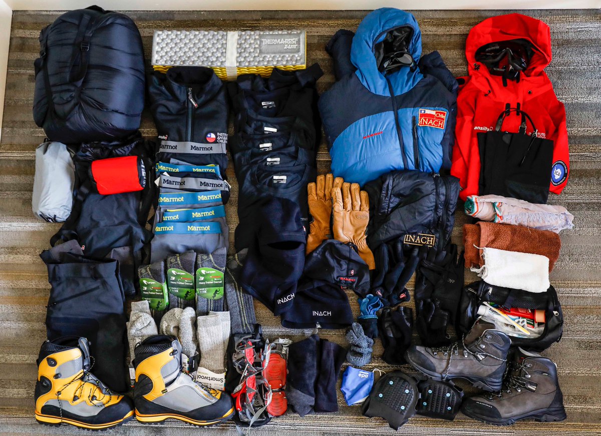 Felipe Trueba tweet media