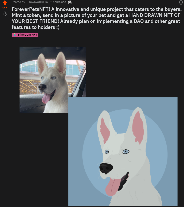 ForeverPetsNFT's tweet photo. Reddit posts are picking up some nice traction! Eyes
Excited to see all of the new members joining our community! :)
#nft #nftgiveaway #nftcommunity #foreverpets https://t.co/8xB8zPqpfS