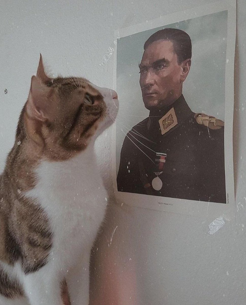 Her gün,her yıl,her kasım. Özlemle anacağız..