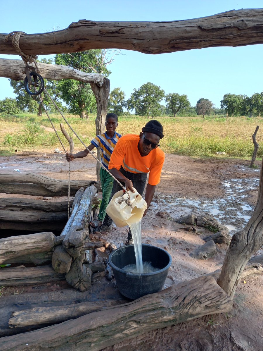 They water they drink is the same they use to give there animals to drink all they know as water source in their village since they born is only this one well I visited this area's to see there rice fields on a project from one of chain but is so sad to see my country man suffer