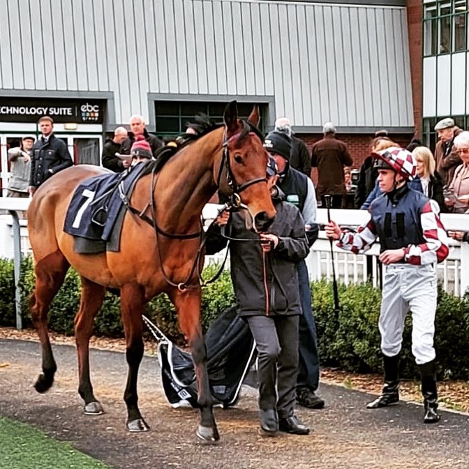 Stoneleighracin's tweet photo. Songkran in the parade ring yesterday @wolvesraces trained by @gbougheyracing and ridden by @mark_crehan into a great 3rd place finish #race #races #racing #racehorse #horseracing #third #alwaysnexttime https://t.co/7xNLnDoKbk