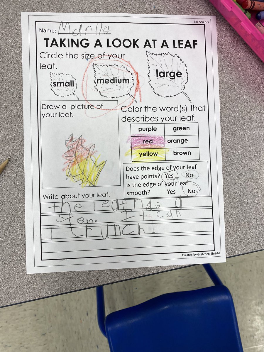 MrsNikoleSolano's tweet photo. Exploring Fall Leaves 🍂 Yesterday we went on a leaf hunt, built words with leaves on our computers, and completed a leaf investigation! 🔎 @BASDSpGarden #basdignite https://t.co/riRFaQWUdk