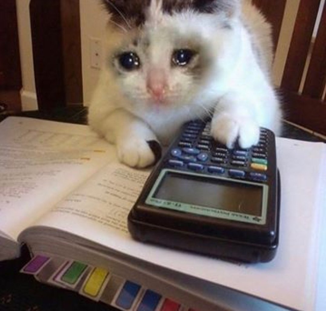 diogofrnunes's tweet photo. Tou assim https://t.co/a4J1FnAOhk