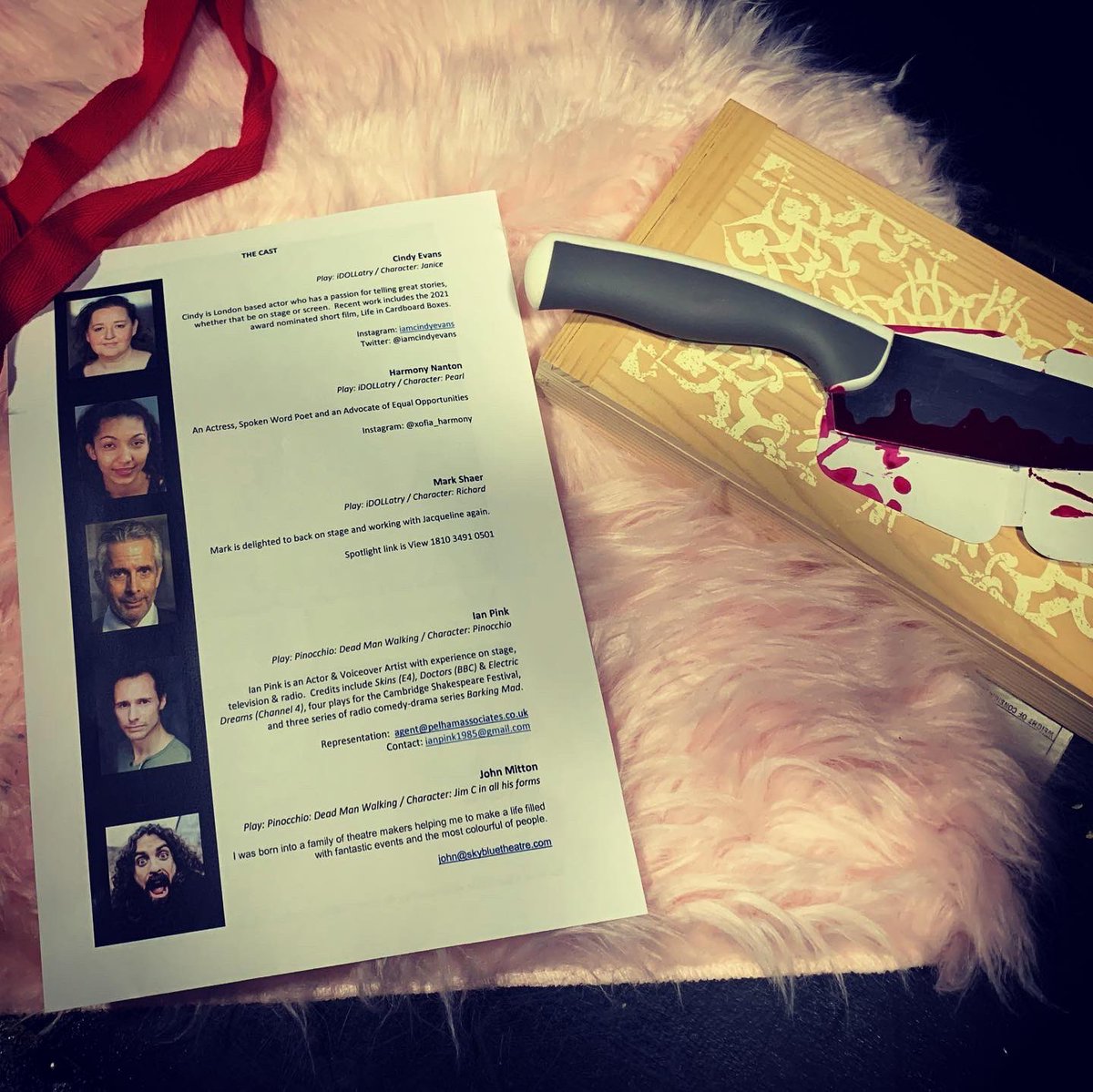 iamcindyevans tweet media