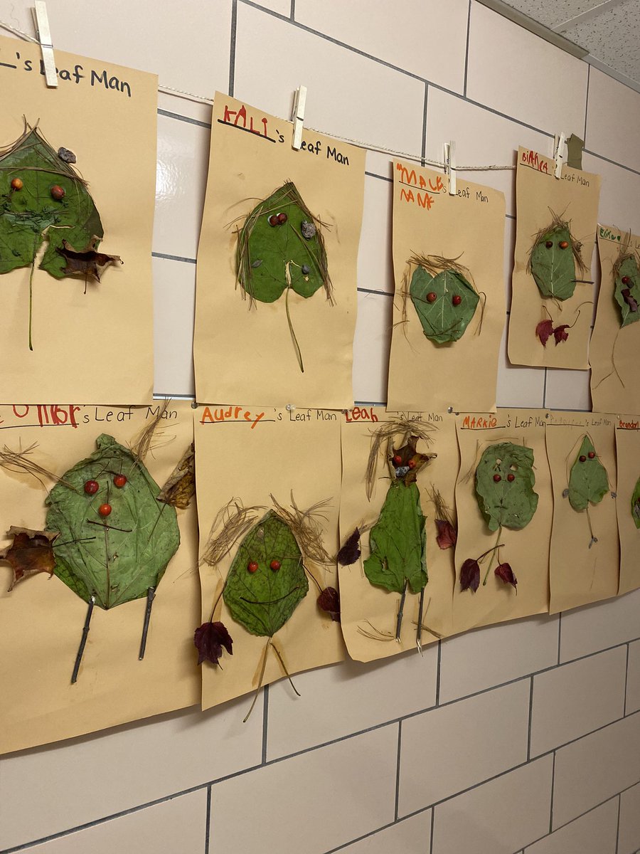 mschristyneu's tweet photo. Nature walk + Leaf Man read aloud = possibly the cutest leaf creatures in town! They are all so unique 🥸 #kinders #hiltoncsd #literacy @1VillageHilton https://t.co/mVRX9v6sG0