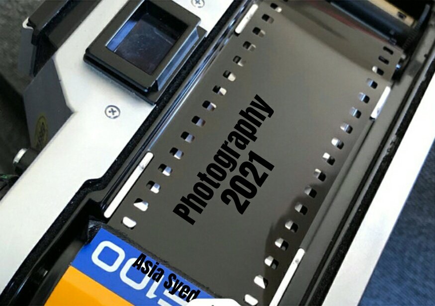 ASIA SYED (PAKISTAN)~NATURE PHOTOGRAPHY 2021 (@syednature) on Twitter photo 