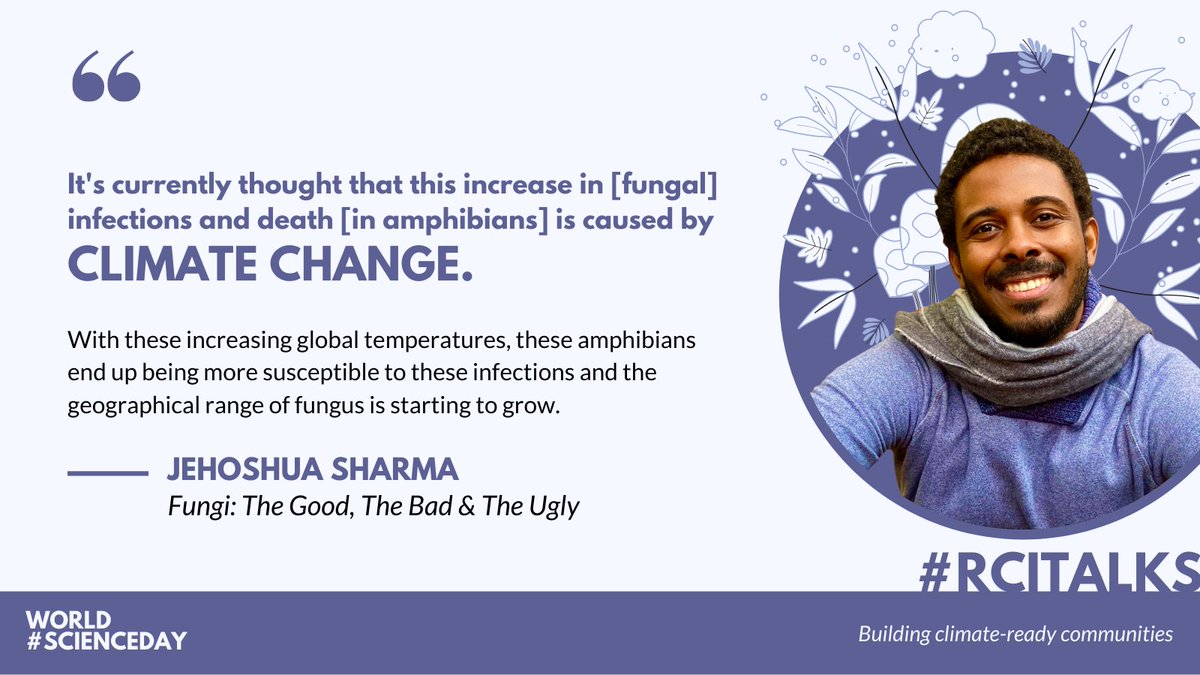 RCIScience's tweet photo. This World #ScienceDay is all about building climate-ready communities. In our recent #fungi-themed #RCITalks, @Jehoshu_wow, @AmandaOVeri, @jessiemacalpine & Prof. JP Xu explain how #ClimateChange + fungal pathogens can impact ecosystems🍄
Check it out ▶️ https://t.co/s7c910HOFw https://t.co/cw81TcquL9