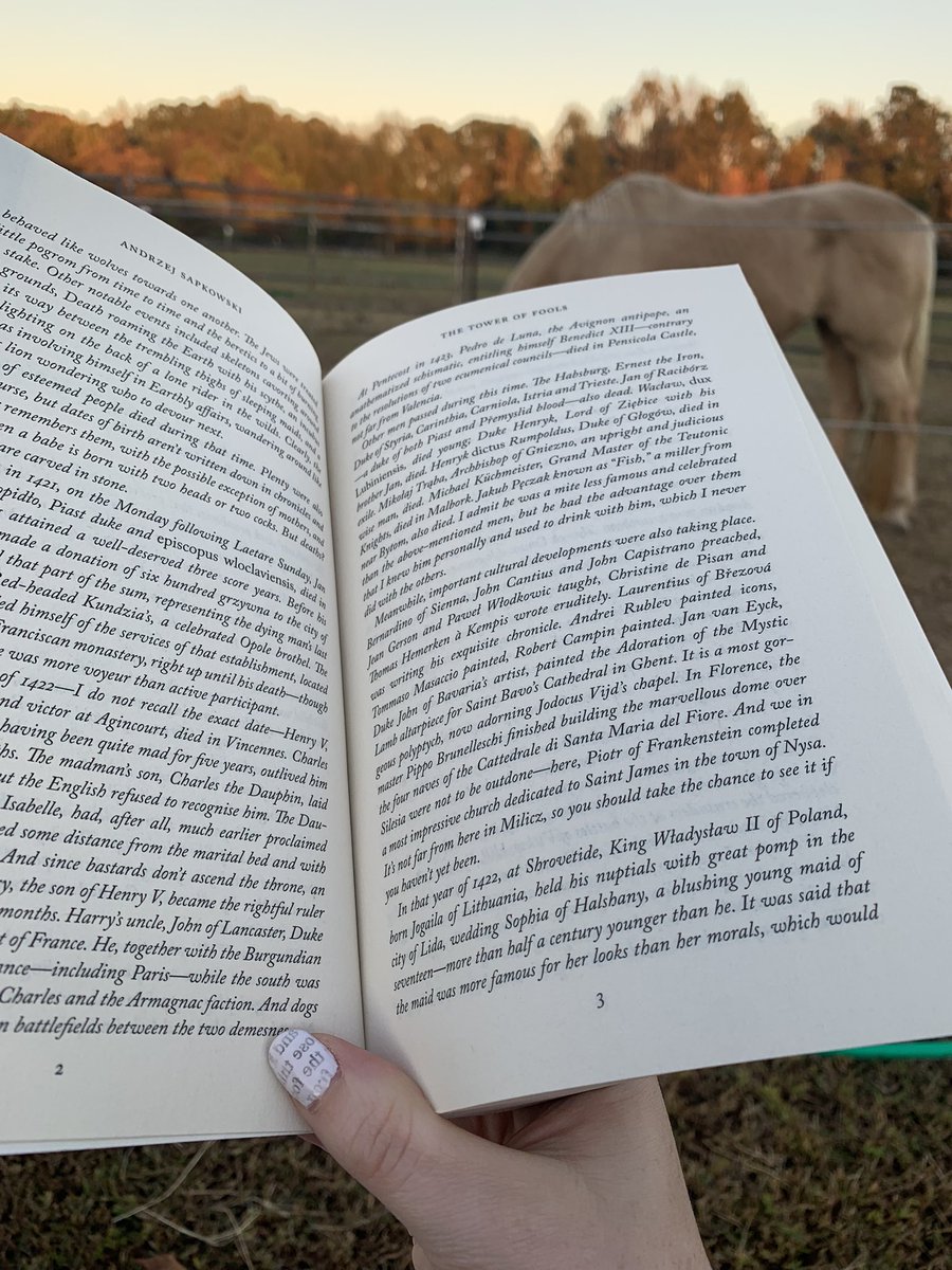 KaytlynSingell's tweet photo. This is one of the best views #BookTwitter https://t.co/j7wLA0KgnF