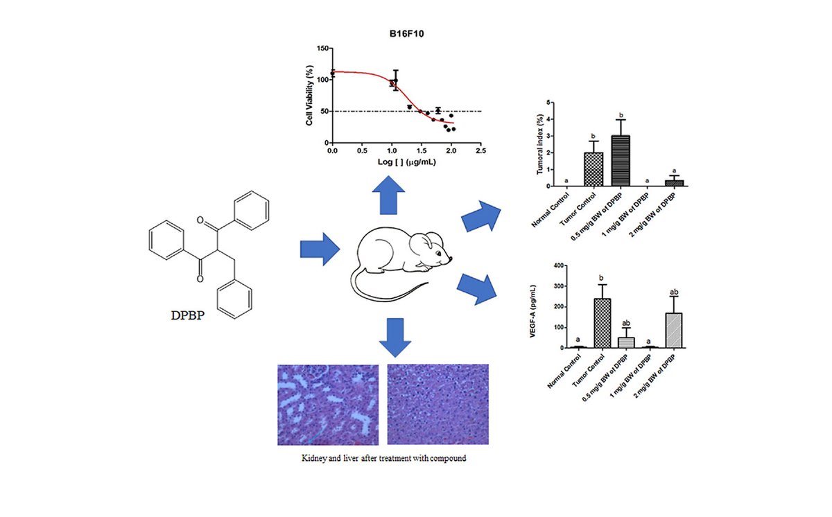 DermalCell's tweet photo. 👩‍🔬👨‍🔬 Dr. Marisa Alves Nogueira Diaz and researchers at the Universidade Federal de Viçosa in Brazil used transdermal and topical formulations of #DPBP to evaluate its activity and molecular mechanism of action in a murine model of #melanoma. 

🧪 https://t.co/ktPNPdktbs https://t.co/IW2PfJ5dbf