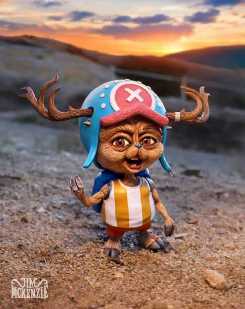 PokemanZ0N6's tweet photo. Netflix One Piece's chopper and franky also got revealed https://t.co/L3goJDaWPO