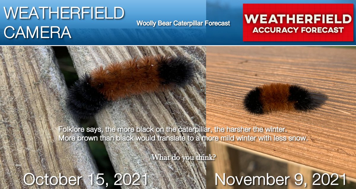 rmccollo's tweet photo. So what kind of winter will we have this season? According to folklore the more black on the wolly bear catepillar the harsher the winter, the more brown the milder the winter. What do you think our friend is saying?
#wdkx #weatherchannel #roc #rochester https://t.co/guEqI0JaQI