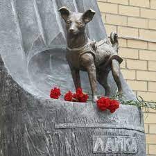 isuforensics's tweet photo. A memorial dedicated to Laika, was created April 11th, 2008. It’s located outside the Russian Cosmonaut training facility where she was trained in Star City, Russia. #COMferenceForensics https://t.co/nsFjJehC0C