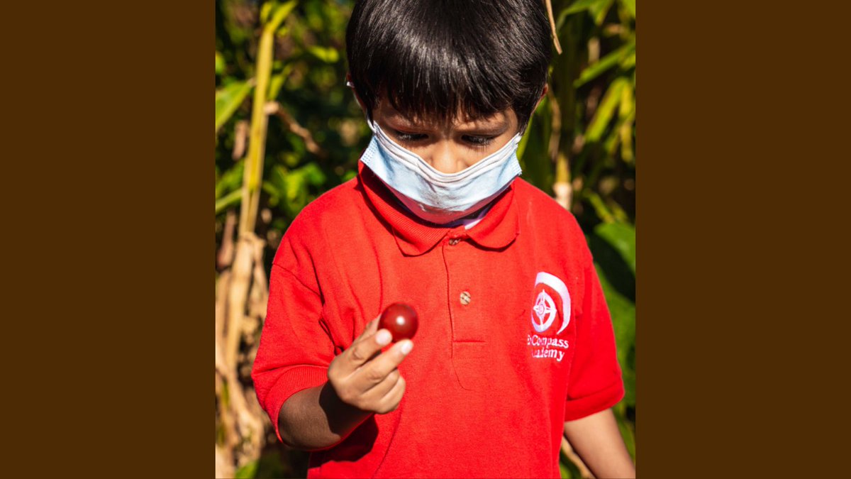 Acta Non Verba Youth Urban Farm Project tweet media