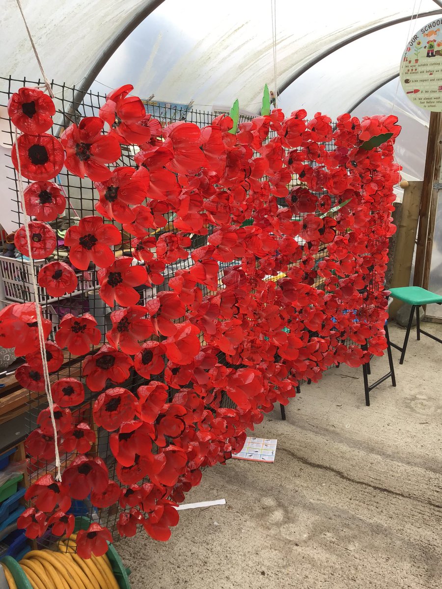 easterside_a's tweet photo. We have been making poppies out of plastic bottles to create our very own Cenotaph for Remembrance Day. #EastersideValues #EastersideRespect #EastersideEnrichment #EastersideHistory #EastersideArt #EastersideRE https://t.co/0g0QrvsXmY