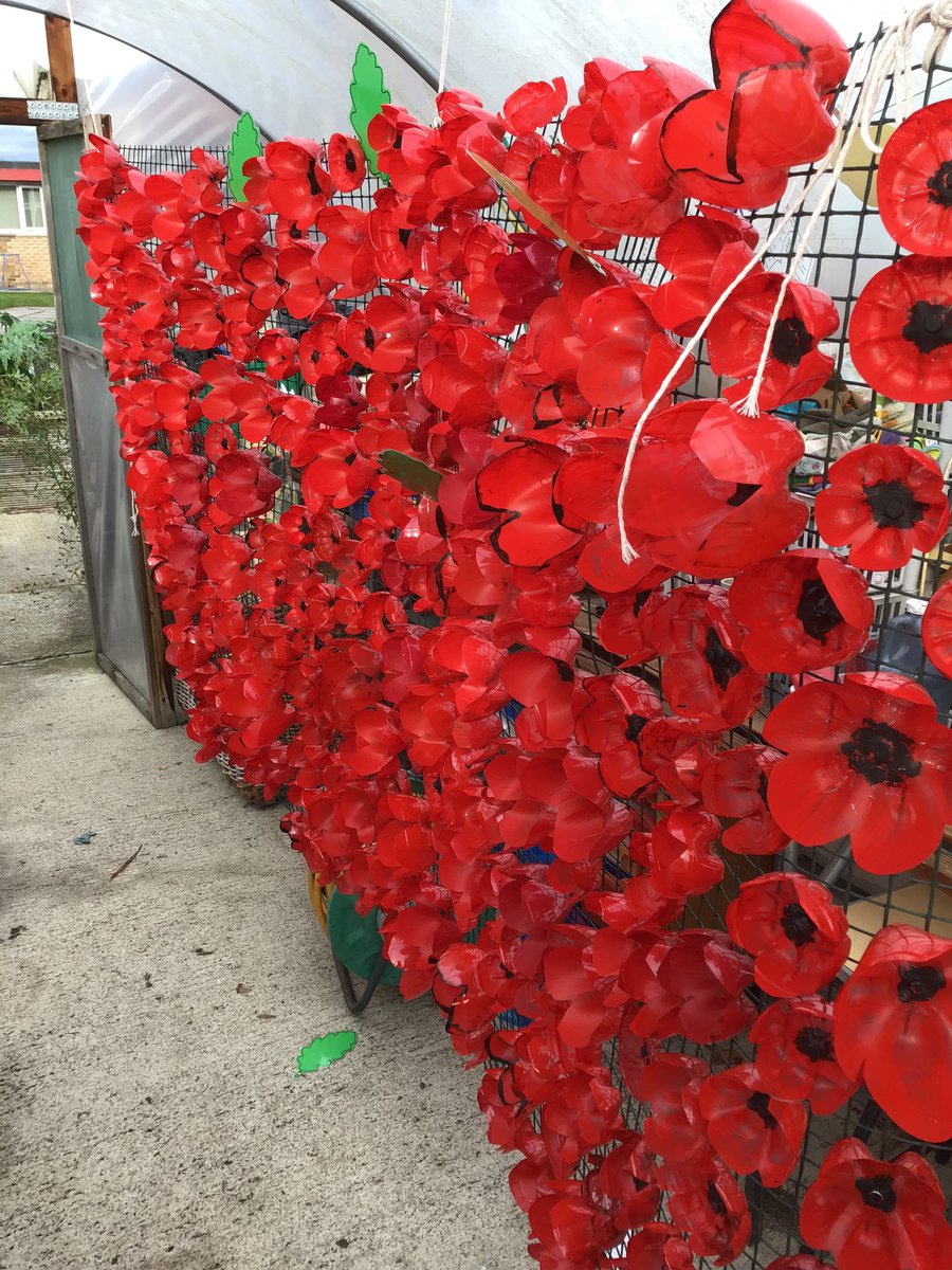 easterside_a's tweet photo. We have been making poppies out of plastic bottles to create our very own Cenotaph for Remembrance Day. #EastersideValues #EastersideRespect #EastersideEnrichment #EastersideHistory #EastersideArt #EastersideRE https://t.co/0g0QrvsXmY