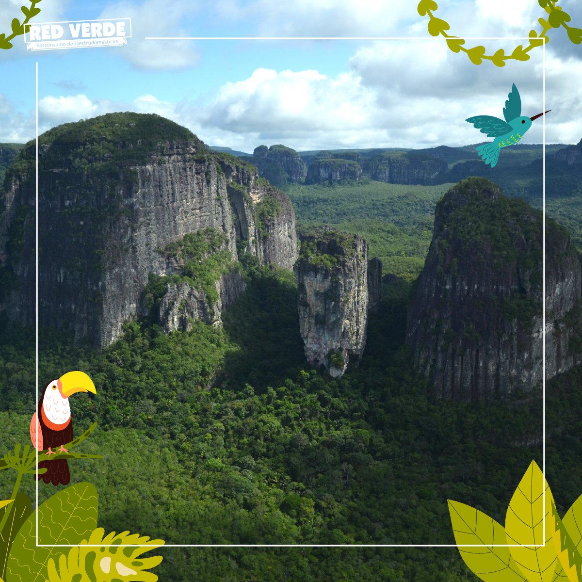 redverdecol's tweet photo. ¡Feliz Día Nacional de los Parques Nacionales Naturales! 🏞

Desde el 9 de noviembre de 1960 se declaró en Colombia el primer #parquenacional natural del país, conocido como Cueva de los Guácharos, ubicado en el departamento del Huila.

¿Cuál parque nacional conoces? https://t.co/V5OvpNV5gO