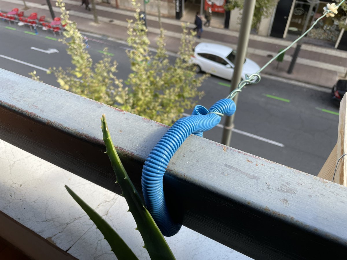 Carmen Méndez tweet media