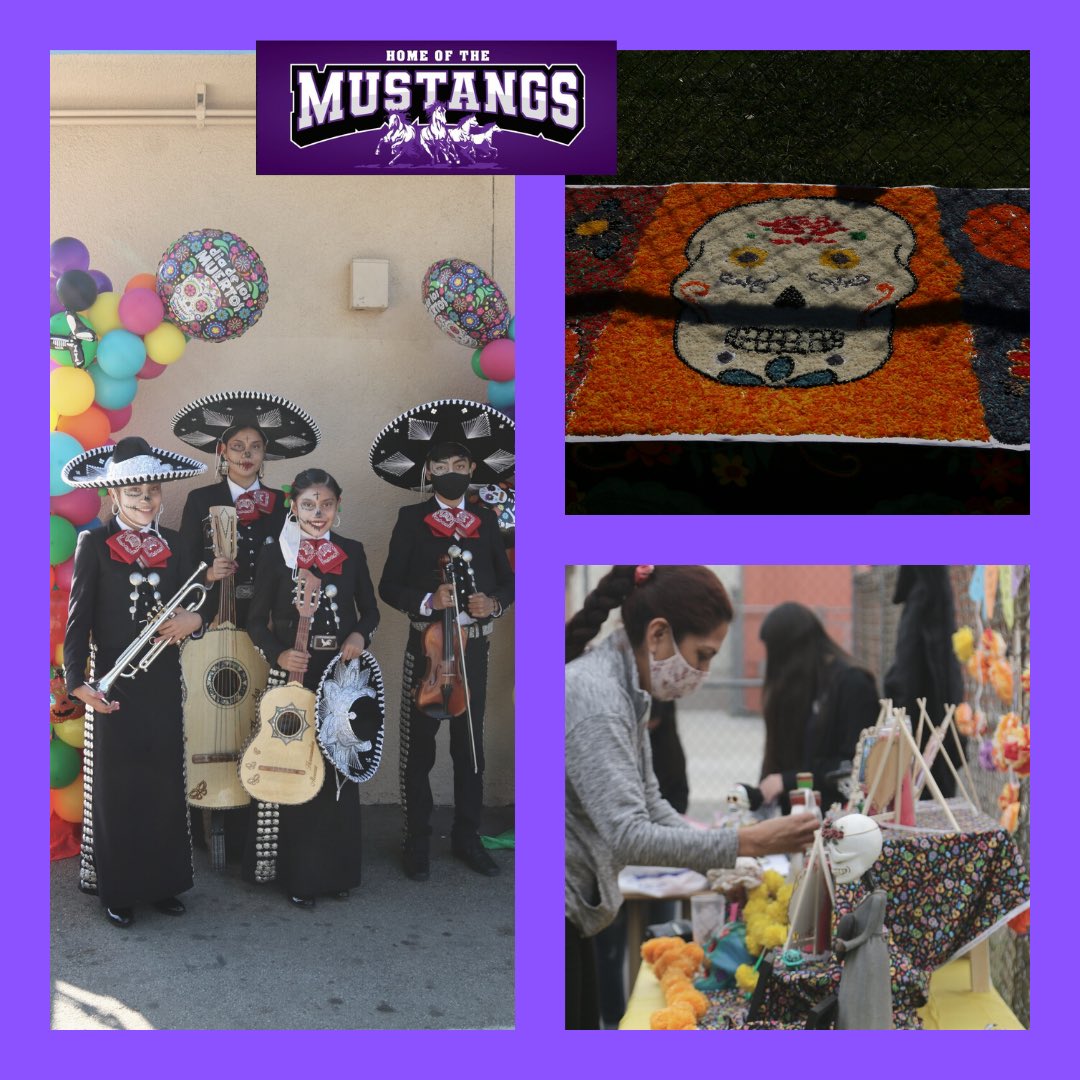 Magnolia Science-2 tweet media