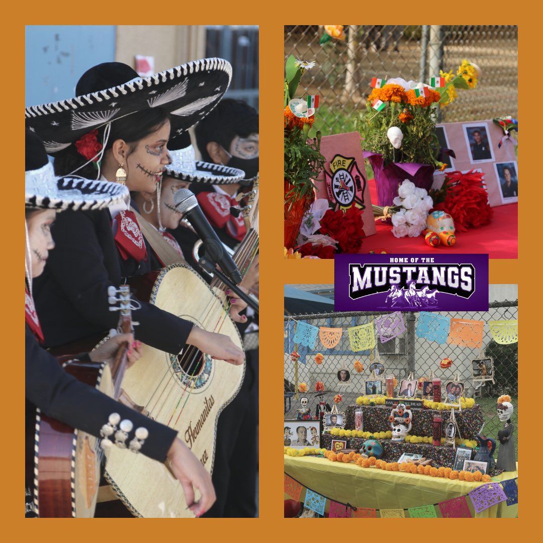 Magnolia Science-2 tweet media