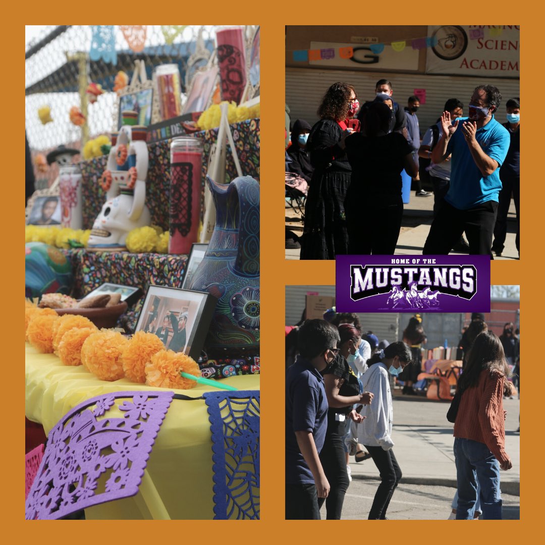 Magnolia Science-2 tweet media