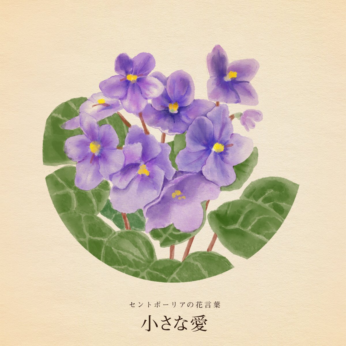 Avire 日々のこと 𓂃 𓈒𓏸 Nzer03 Twitter Avire 日々のこと 𓂃 𓈒𓏸 Nzer03 Twitter