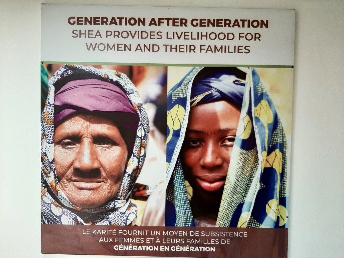 Visiting Agriterra Ghana, today we met the Global Shea Alliance in Accra. We clearly positioned Agriterra, and had good discussions on future collaboration. First result: we are invited as "observer" in the Sustainability Working Group of the GSA.