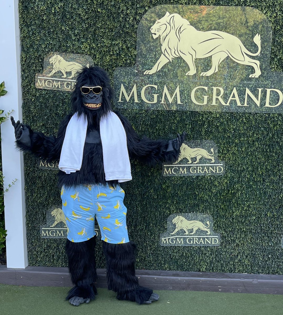 KatStryker111's tweet photo. $AMC 🦍Thinking of getting in my Gorilla Suit for the Rose Parade and handing out AMC Gift Cards on Jan 1st and shooting a video🦍🎥 Anyone Down?🎥 #AMCWeLoveTheStock @Hammer_OC_OG https://t.co/LFIkZEzRhp