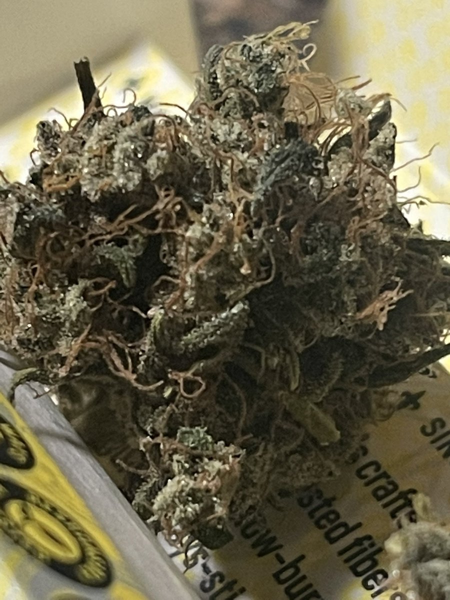 Wearewewill's tweet image. #haze but not just any haze.  Where you think I got the creativity to make #incakoin in 2013.  #highAF #piffery #puday #iykyk