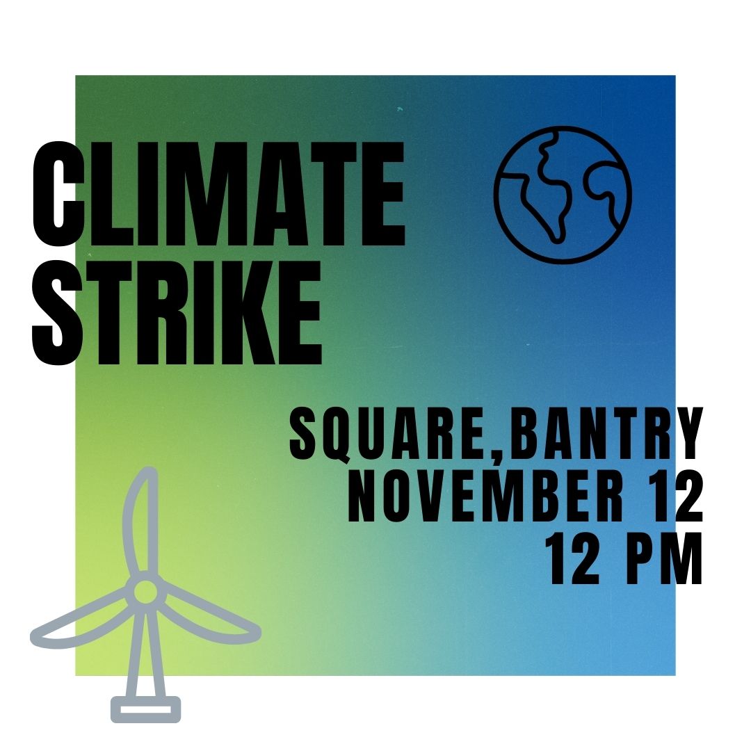 Fridays for Future Bantry tweet media