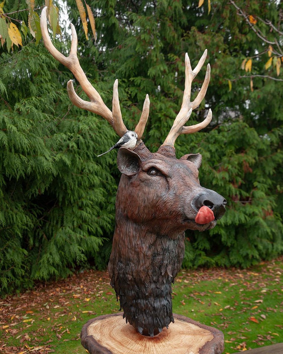 I am so happy to be able to donate my competition cake to the unbelivably hard working staff at the RVI hospital in Newcastle tomorrow morning. 
#cakesofinstagram #cakes #deercake #stagcake #saracino #saracinouk #NHS #tyneteestelevision #newcastlechronicle