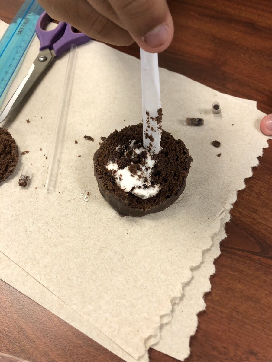 GallardoGarciaV's tweet photo. Been doing some labs lately!
@RainesAcademy #LabDays #EnvironmentalSystems https://t.co/KjVF82dNEI