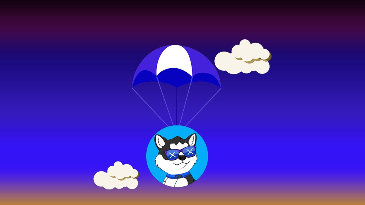 BabyXRdoge tweet media