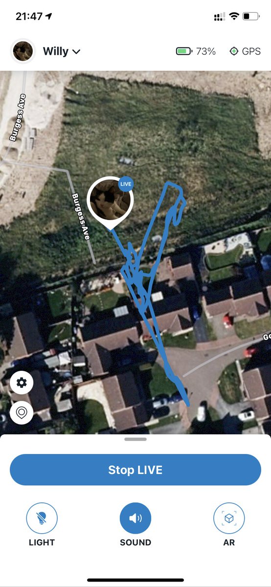 rachie1788's tweet photo. Hey @Tractive …abit impossible to #track my cat when the GPS is as inaccurate at this! 😡😡 FYI collar and tracker have come off AGAIN and no idea where to look 👀 #whatsthepoint #whatdoipayfor aarghhh! https://t.co/T0CDzbQp6b