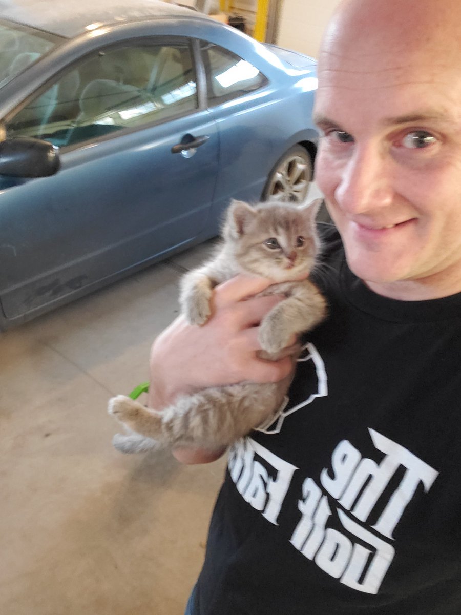 FANate6's tweet image. They broke me down. 🤔 #4animals #4kids