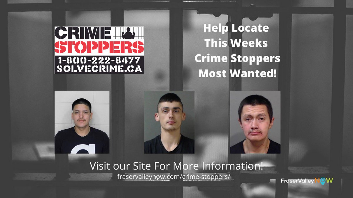 FraserValleyNow's tweet photo. Here are this week's Most Wanted from BC Crime Stoppers. Visit our website for more information. https://t.co/JLDmp4lHDx 
@FightCrimeBC  #crimestoppers #bccrime #fraservalleycrime https://t.co/jxciiY8DAd