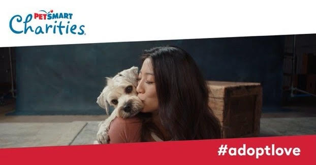 animalfndlv tweet picture