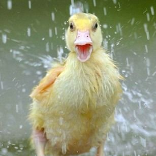 kitkatter's tweet image. Today's weather