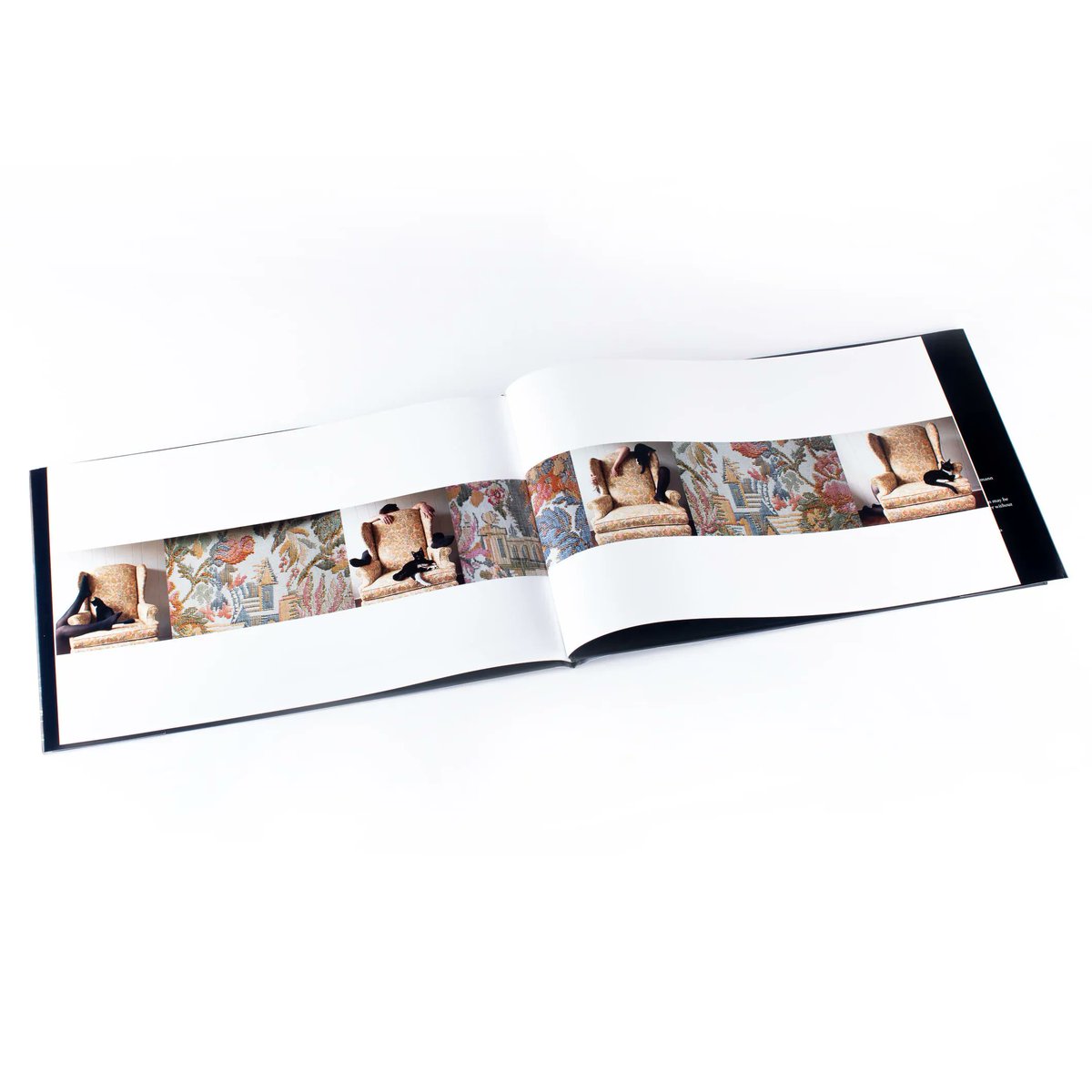 SVA BFA Photography tweet media